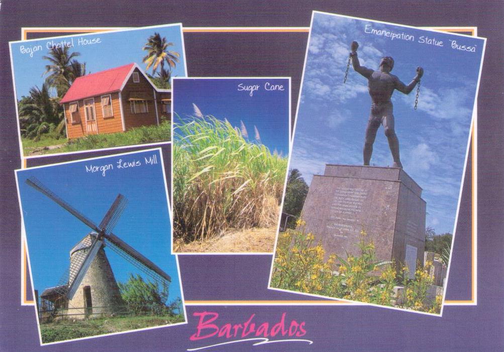 Greetings from Barbados, Cultural Collage
