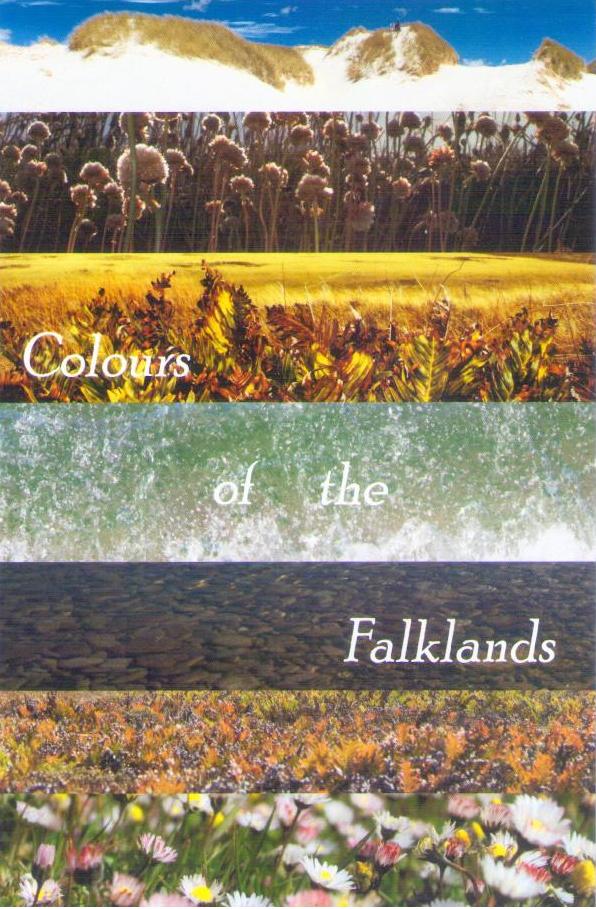 Colours of the Falklands