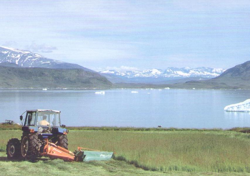 Harvesting and baling hay in South Greenland