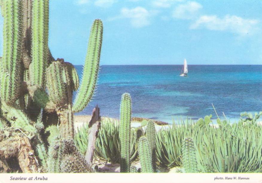 Seaview at Aruba