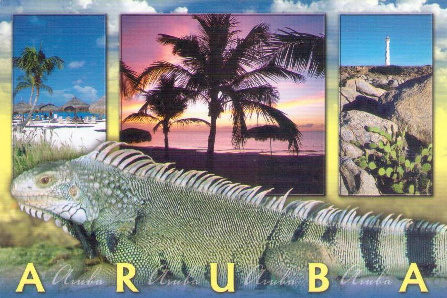 Aruba, iguana and multiple views