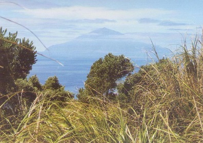 Nightingale Island with Tristan da Cunha in the background