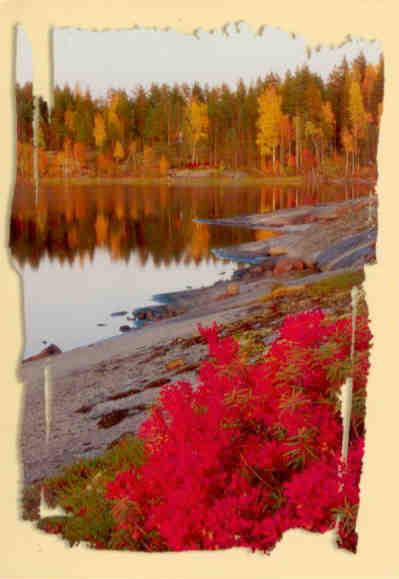 Autumn colours (Finland)