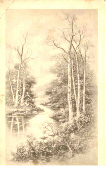 Trees and stream