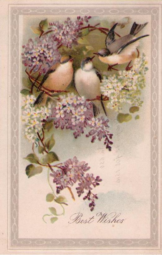 Best Wishes (Card 654)