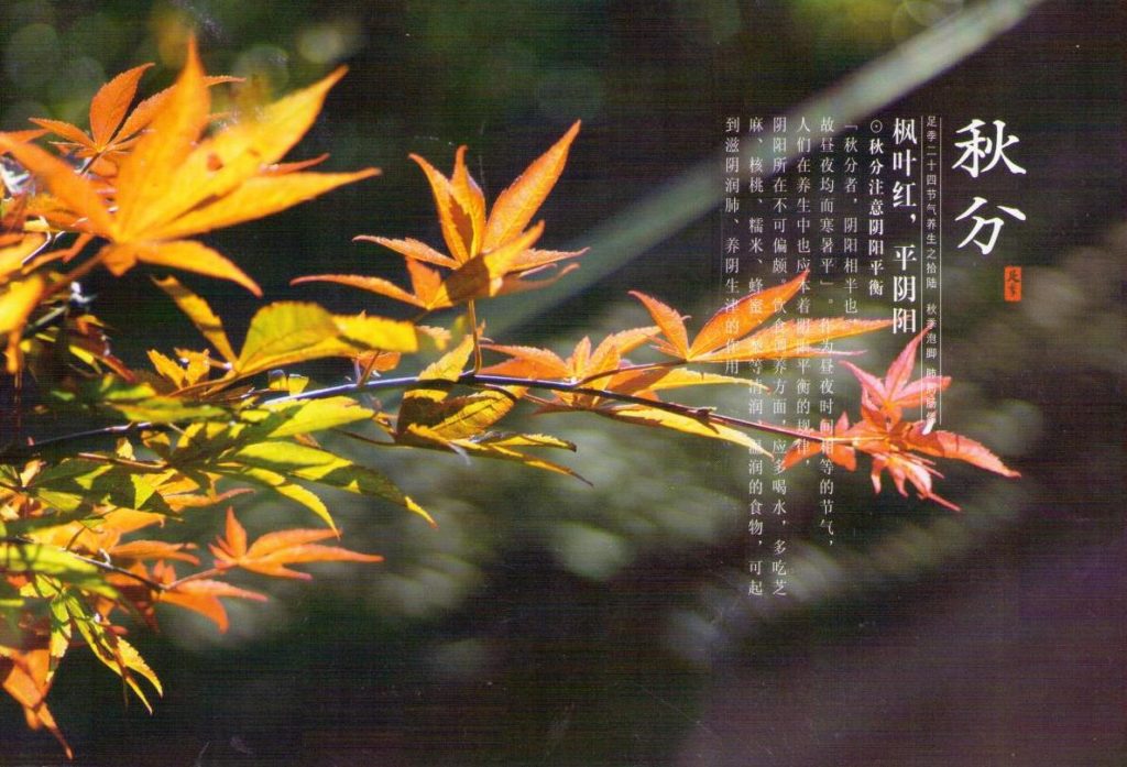 Autumn foliage, moral courage (PR China)