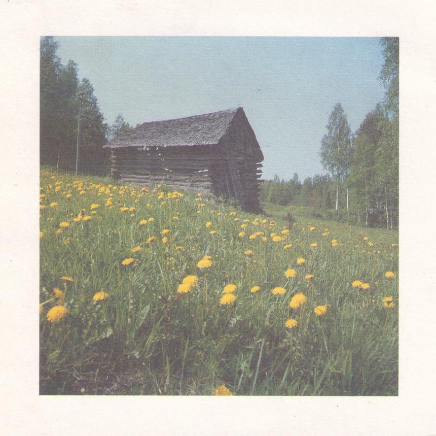Barn and flower field (Finland)