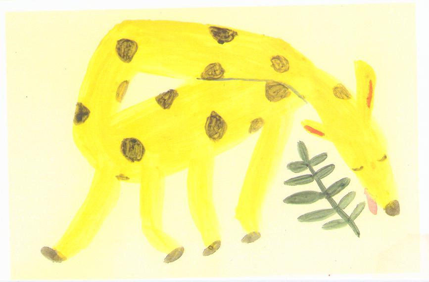 Yellow animal