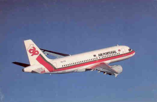 Air Portugal A319-100 (CS-TTA)