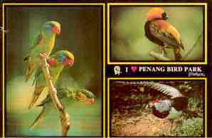 I heart Penang Bird Park (Malaysia)