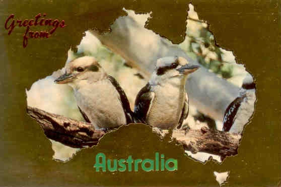 Kookaburras (Australia)