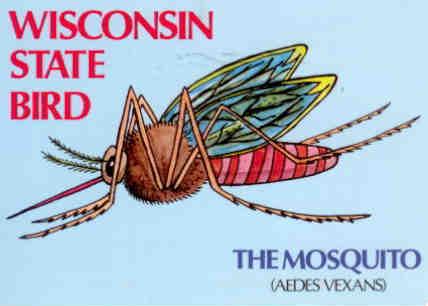 Wisconsin State Bird, Mosquito (Aedes vexans)