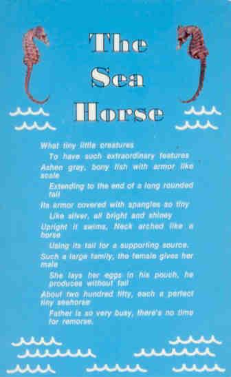Sea Horse (USA)