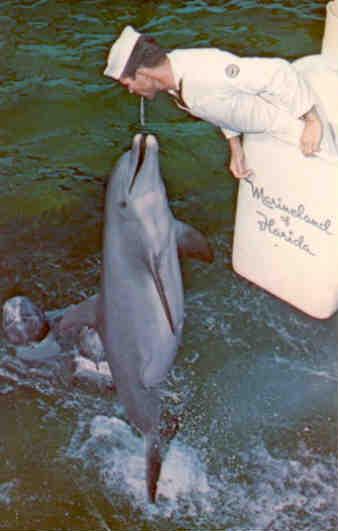 Porpoise takes fish (Marineland of Florida)