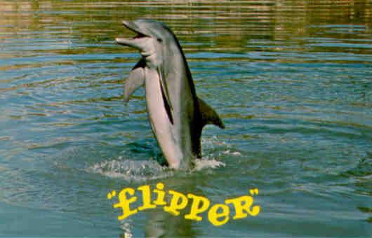 Flipper, Miami Seaquarium (Florida)