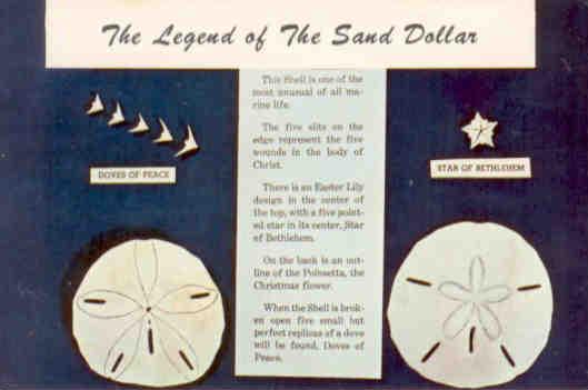 The Legend of the Sand Dollar