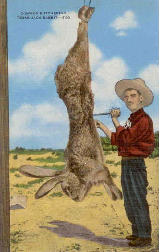Cowboy Butchering Texas Jack Rabbit