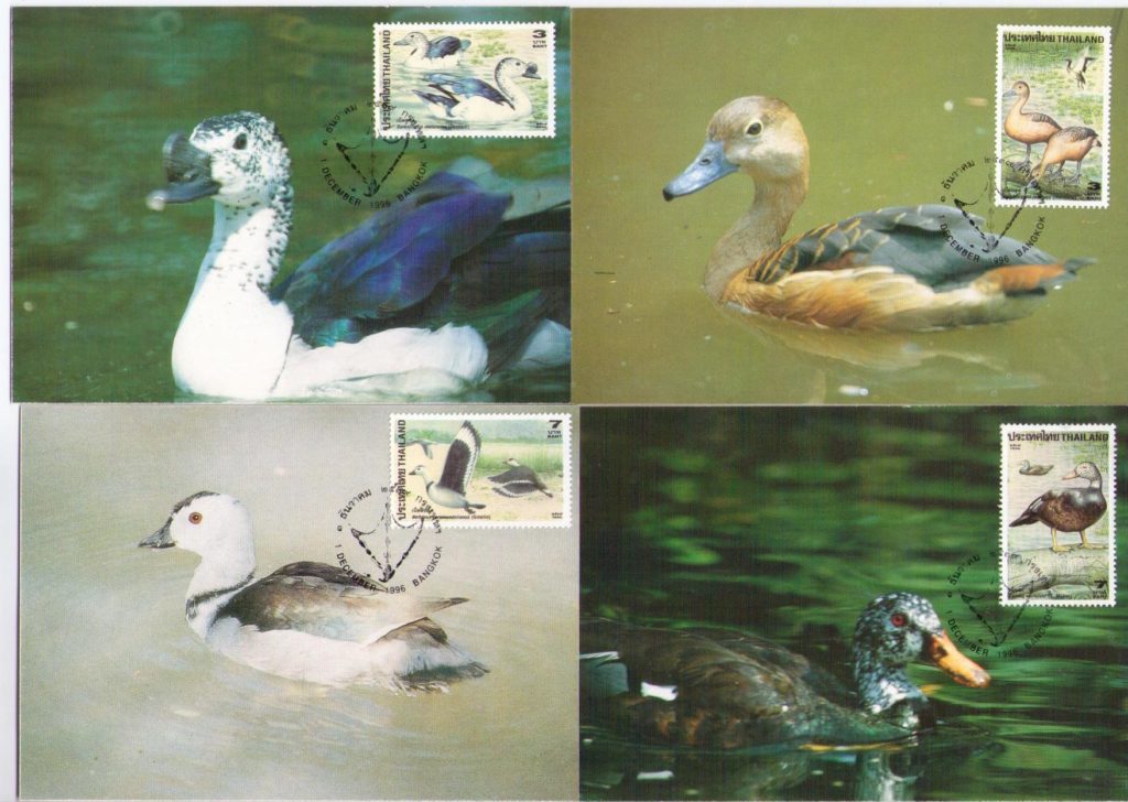 Ducks (Maximum Cards) (Thailand) (set of four)