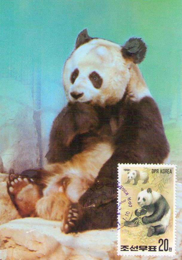 Panda (20) (Maximum Card) (DPR Korea)