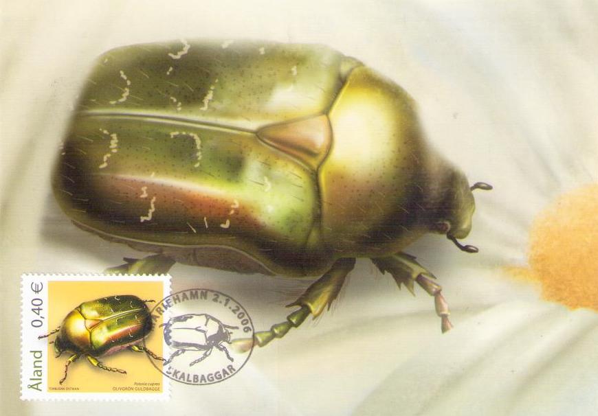 Aland, rose-chafer (Maximum Card no. 53) (Finland)