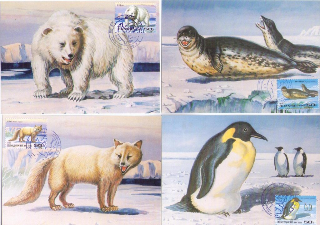 Arctic and Antarctic Animals (set of four) (Maximum Cards) (DPR Korea)