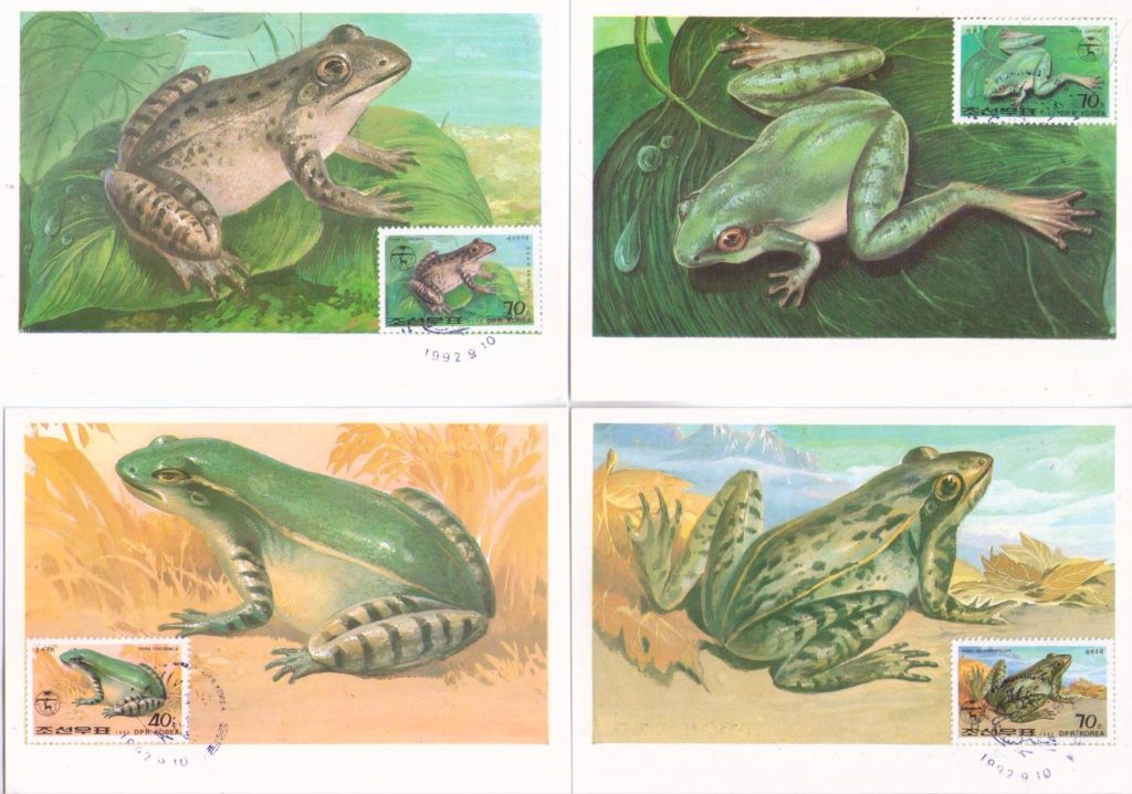 Frogs (set of six) (Maximum Cards) (DPR Korea)