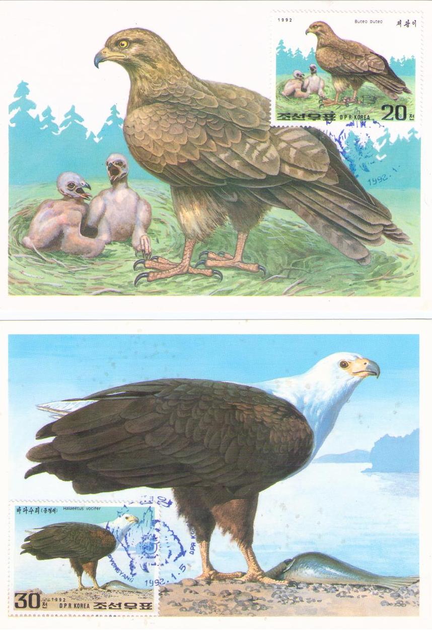 Eagles (group of 2) (Maximum Cards) (DPR Korea)