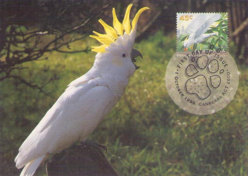 Pets: cockatoo (Maximum Card) (Australia)