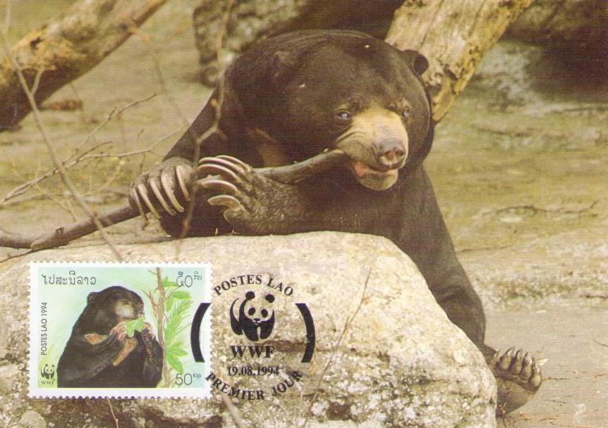Sun Bear 50 (World Wide Fund) (Maximum Card) (Laos)