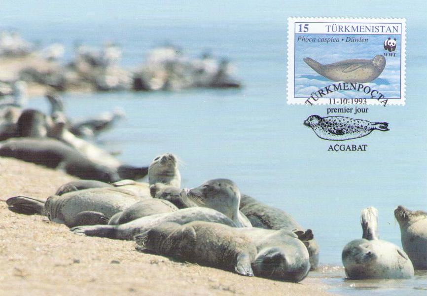 Caspian Seal 15 (Maximum Card) (Turkmenistan)