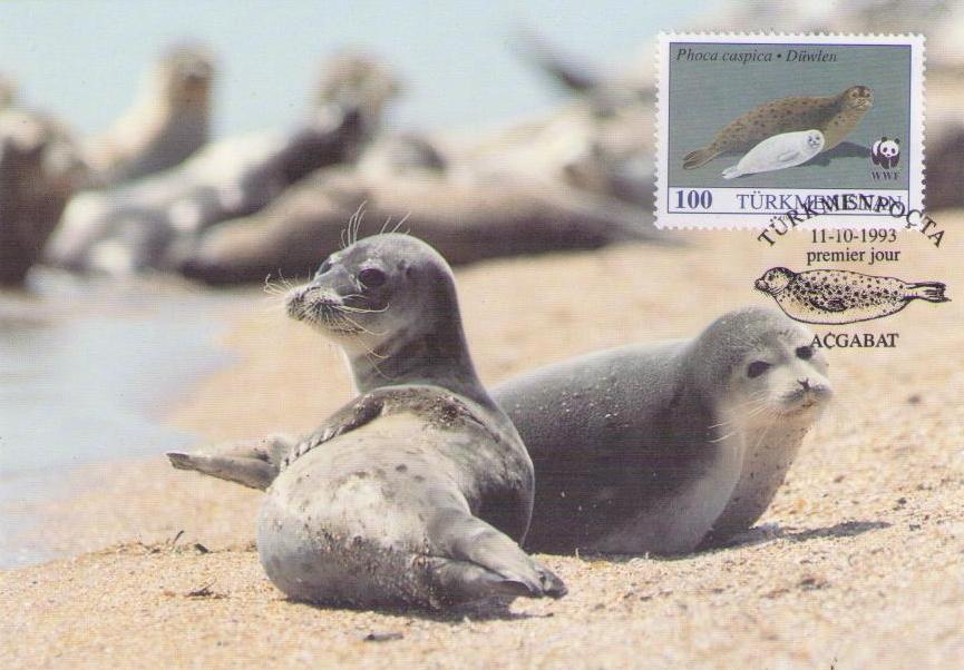 Caspian Seal 100 (Maximum Card) (Turkmenistan)