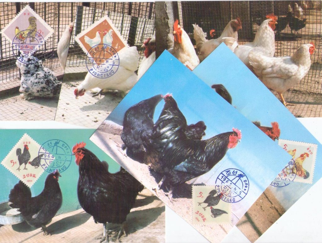 Chickens (set of 6) (Maximum Cards) (DPR Korea)