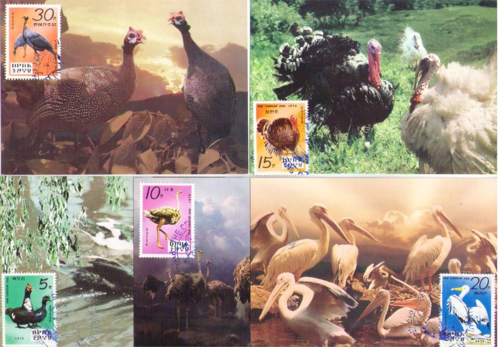 Central Zoo (set of five) (Maximum Cards) (DPR Korea)