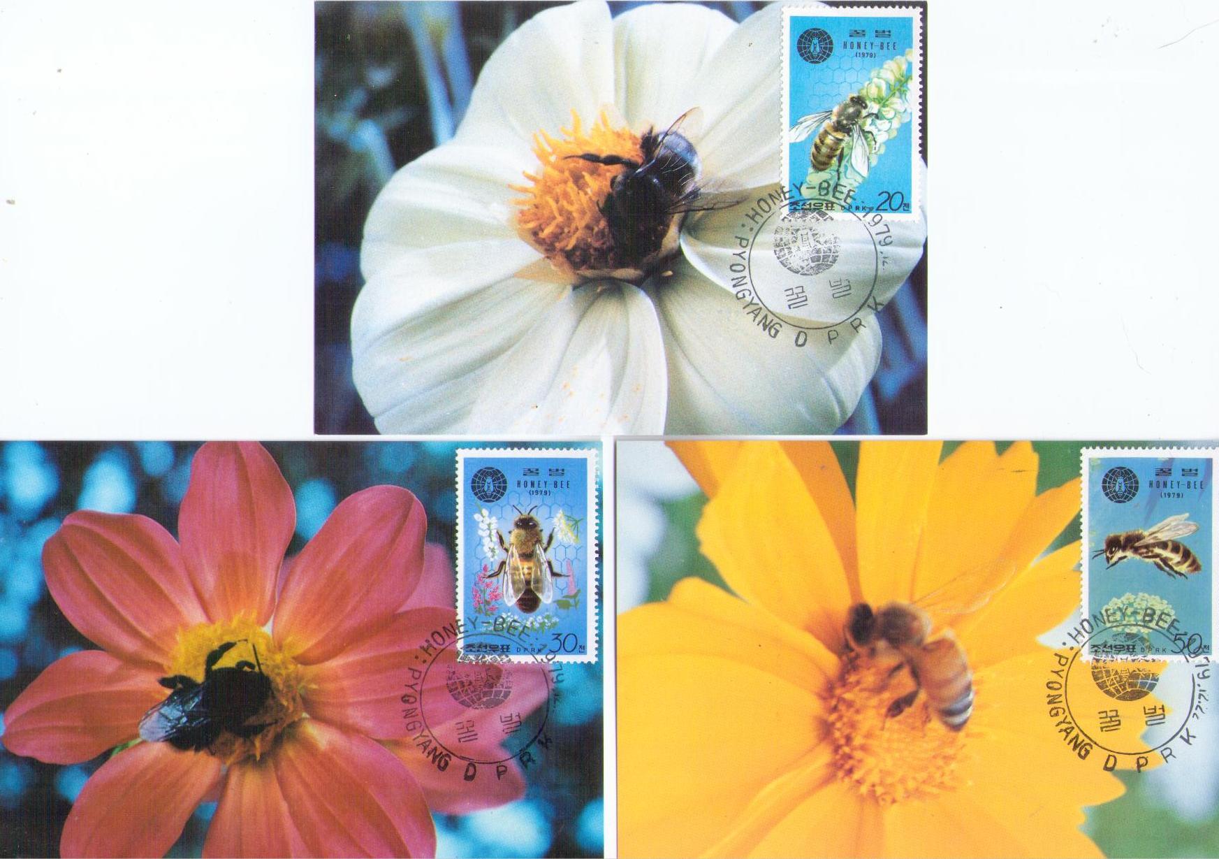 Honey-bee (set of three) (Maximum Cards) (DPR Korea)