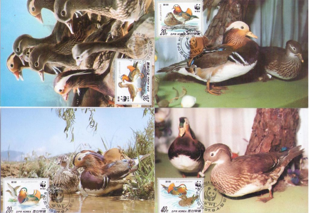 Mandarin ducks (group of four) (Maximum Cards) (DPR Korea)