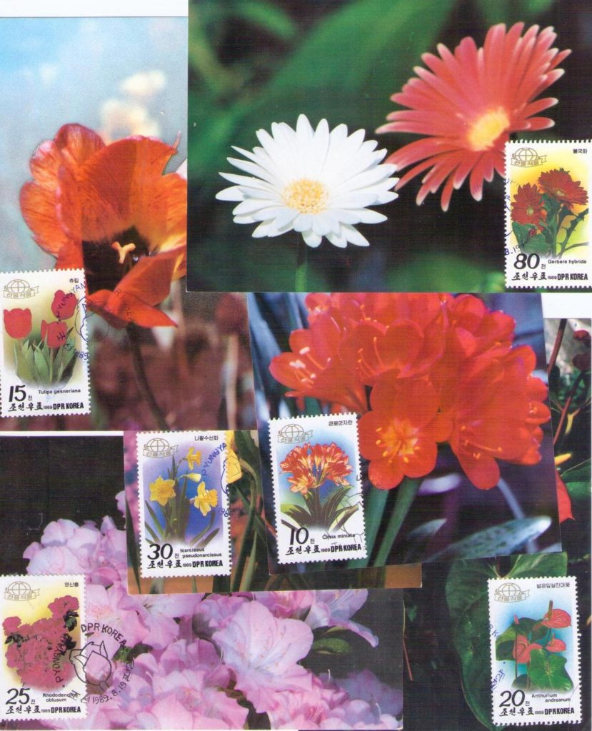 Flowers (set of six) (Maximum Cards) (DPR Korea)