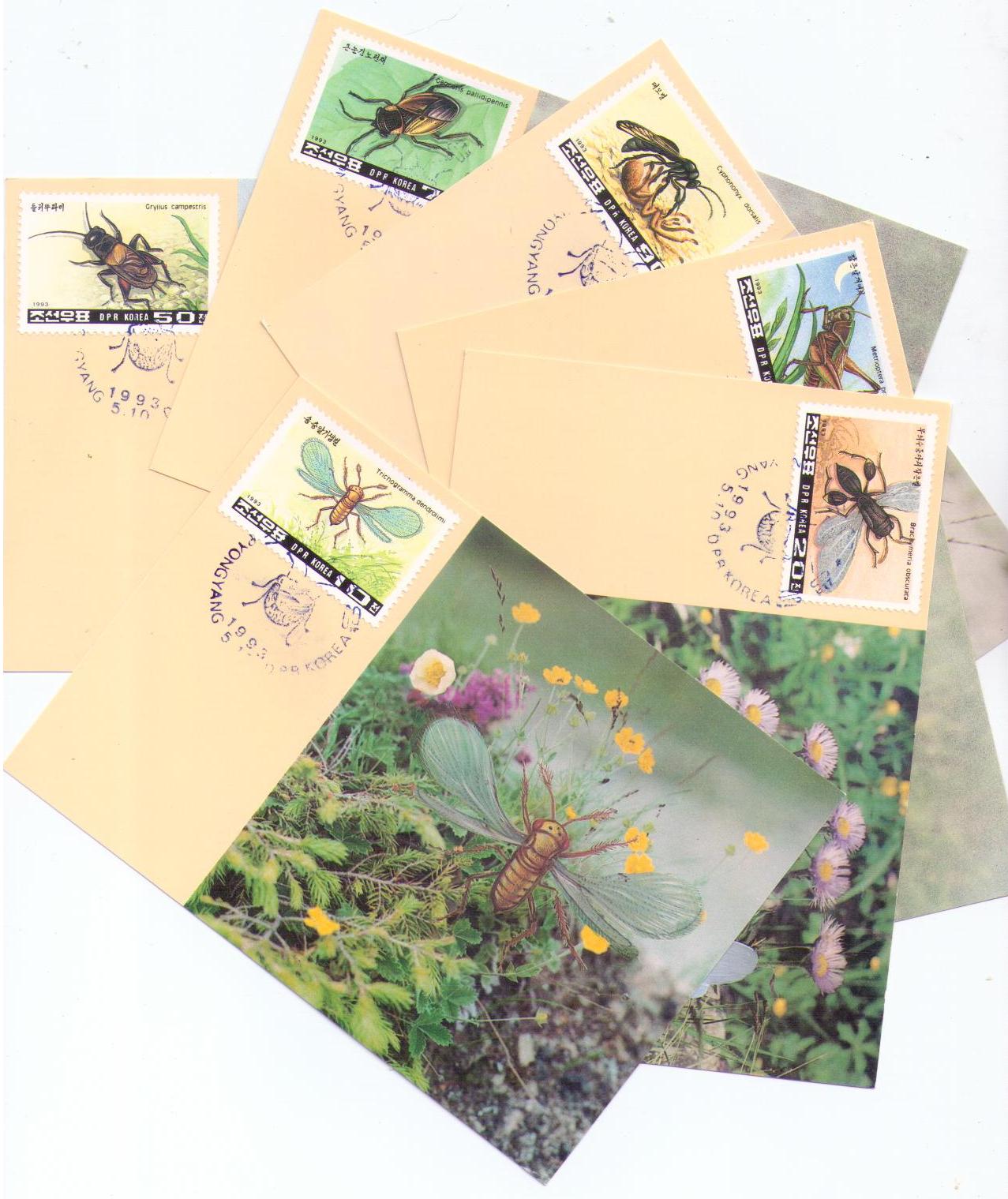 Insects (set of six) (Maximum Cards) (DPR Korea)