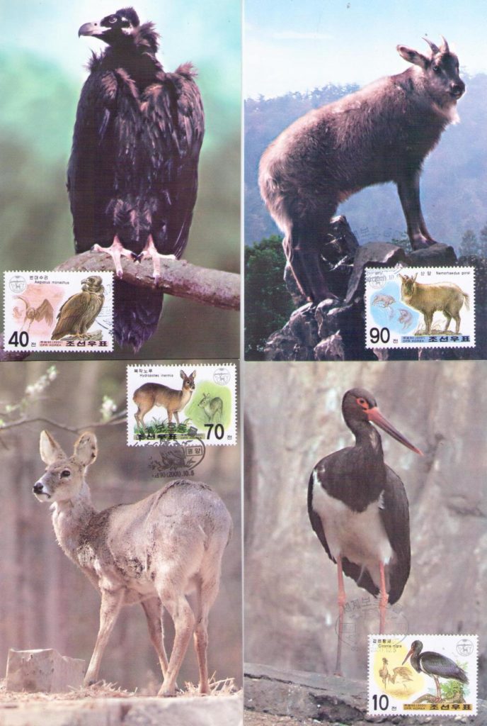 Protected animals (set of four) (Maximum Cards) (DPR Korea)