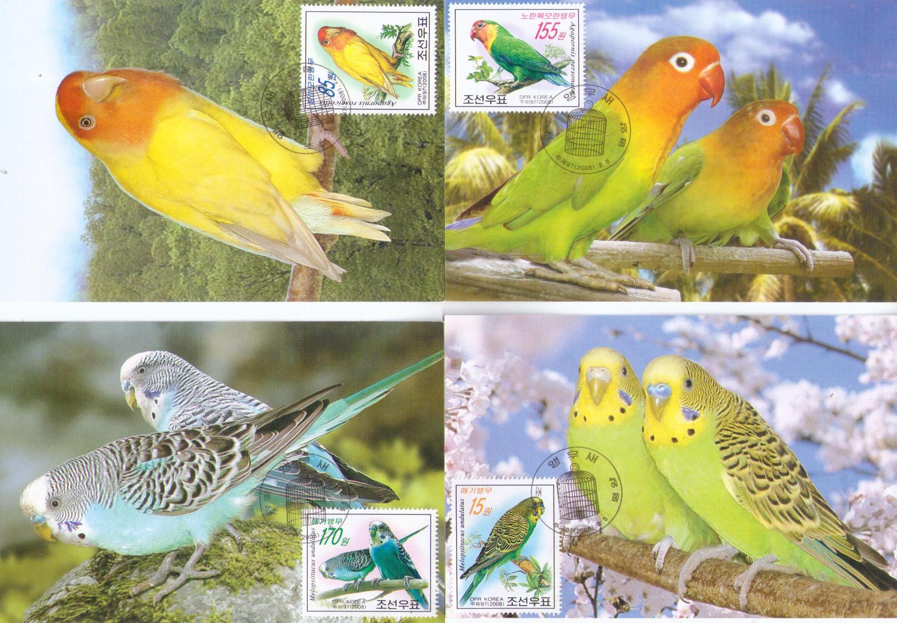 Birds (set of 4) (Maximum Cards) (DPR Korea)