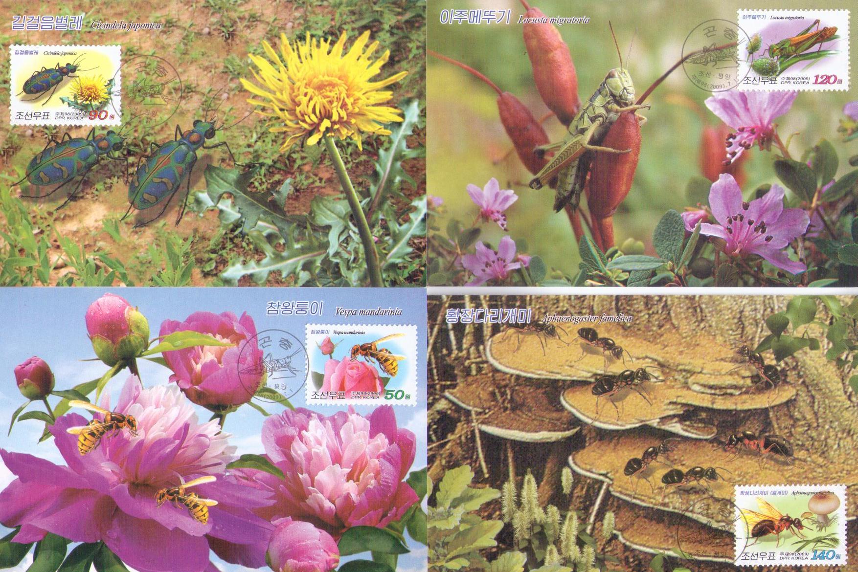 Insects (set of 4) (Maximum Cards) (DPR Korea)