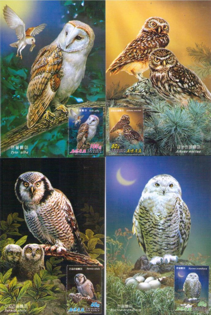 Owls (set of 4) (Maximum Cards) (DPR Korea)