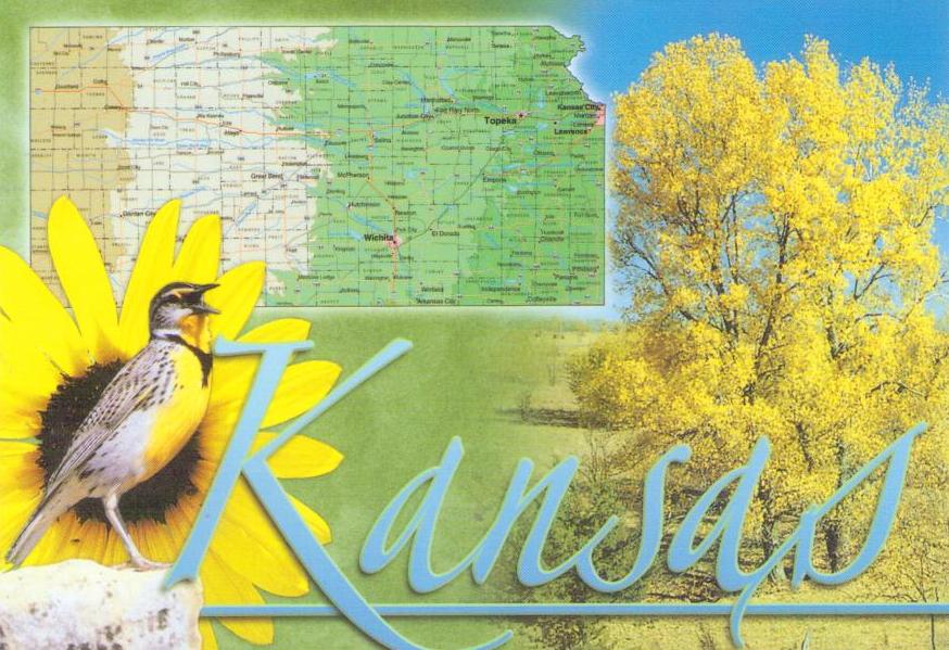 Kansas map and Western Meadowlark