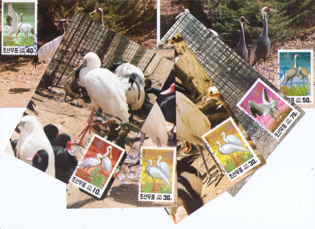 Birds (Maximum Cards) (set of 6) (DPR Korea)