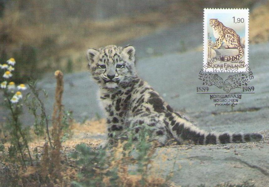 Snow leopard (Maximum Card) (Finland)