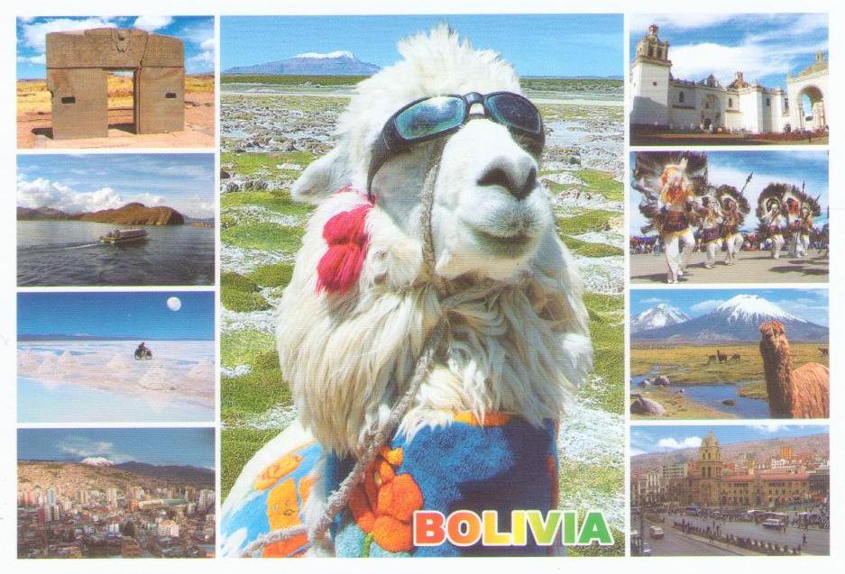 Traveling Alpaca (Bolivia)