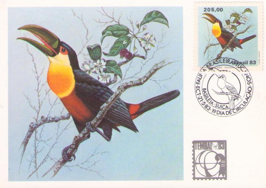 Serie Fauna Brasileira – Tucanos – Tucano de Bico Verde (Maximum Card) (Brazil)