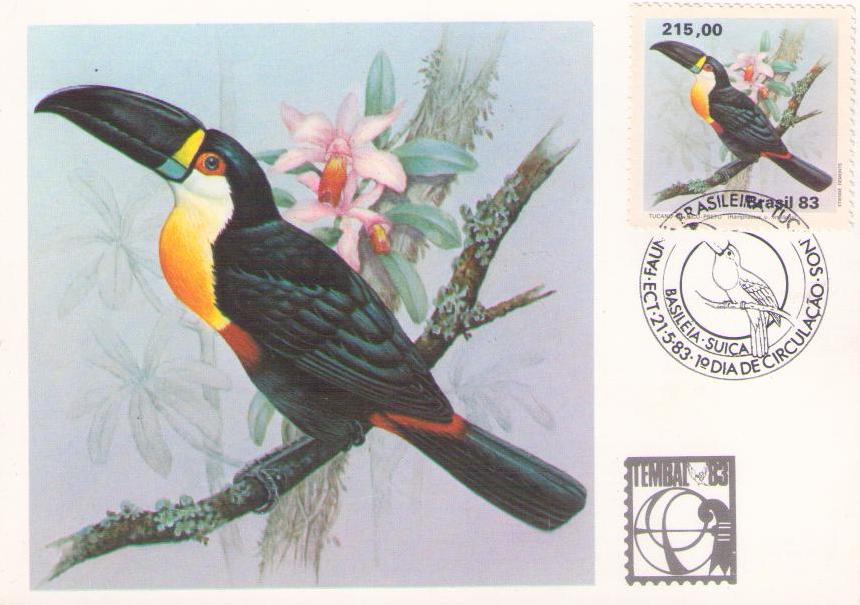 Serie Fauna Brasileira – Tucanos – Tucano de Bico Preto (Maximum Card) (Brazil)