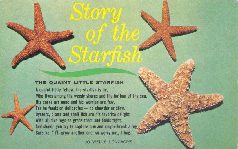Story of the Starfish (USA)