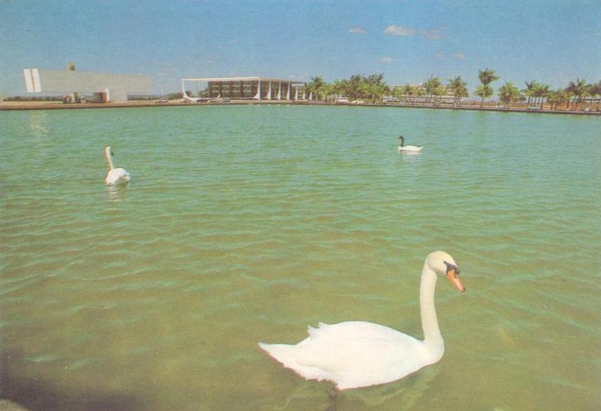 Brasilia – DF – Swans, Museum, Tribunal (Brazil)