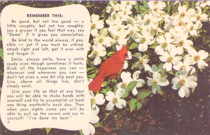 The Cardinal (USA)